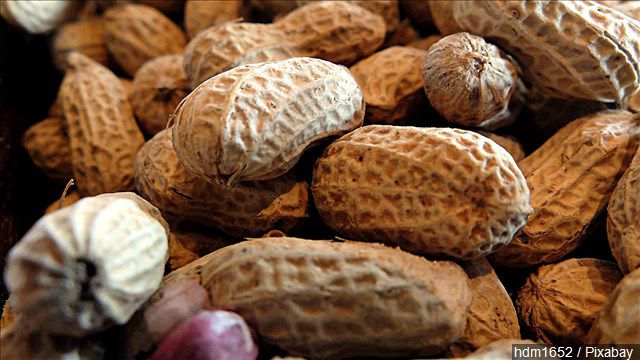peanuts